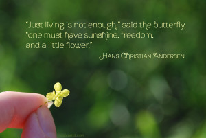 One Must have a Little Flower quote by Hans Christian Andersen - photo by lostcarrot.com